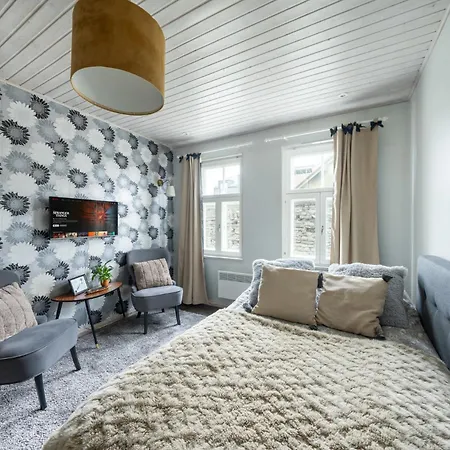 Garden Next To Telliskivi & Old Town